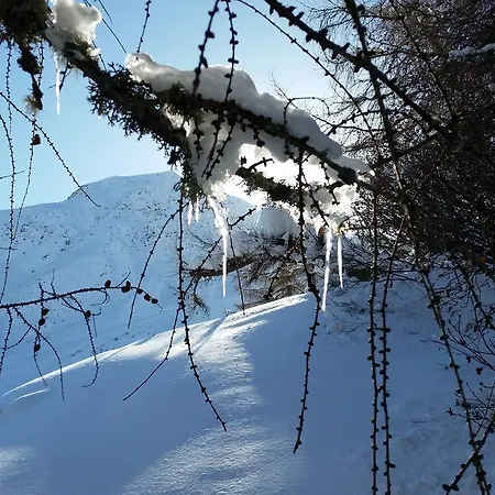 Haus Ursula
