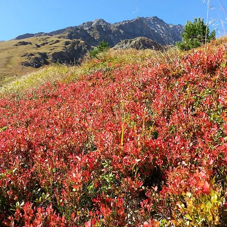 Apartmán Haus Ursula Kals-am Großglockner