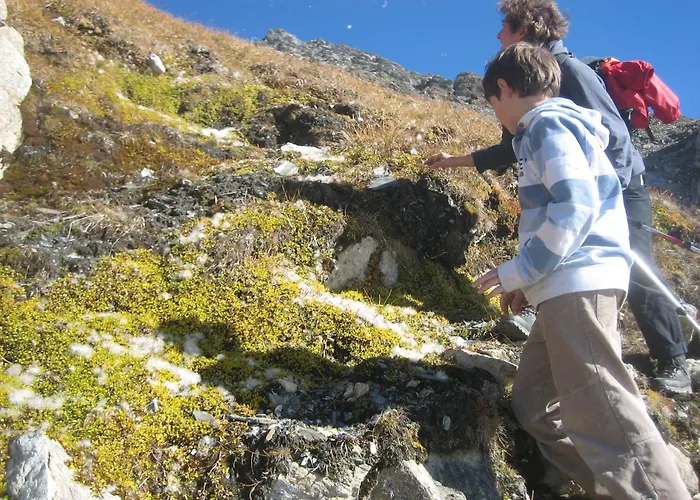 דירה Haus Ursula Kals-am Großglockner