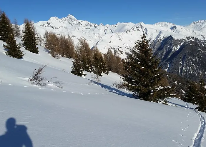 Haus Ursula דירה