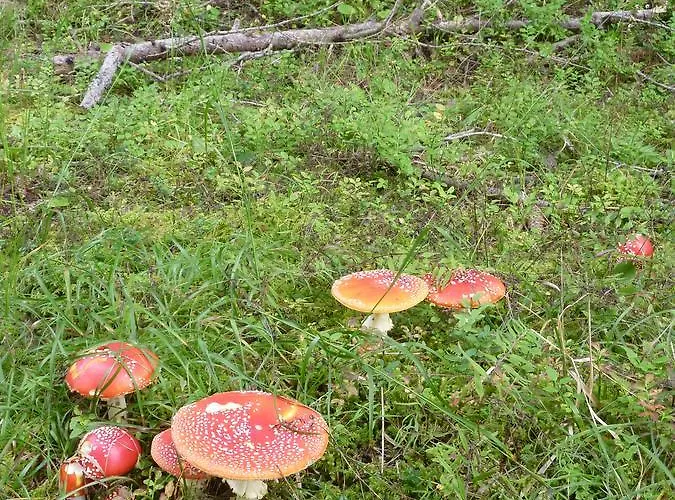Haus Ursula * Kals-am Großglockner