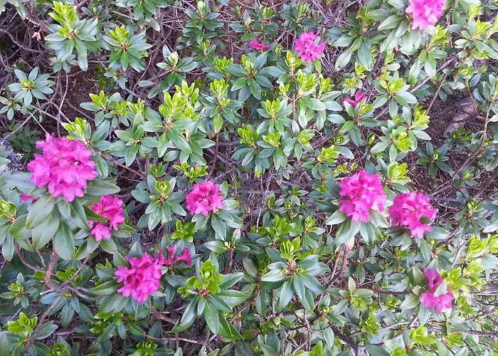 Haus Ursula Kals-am Großglockner
