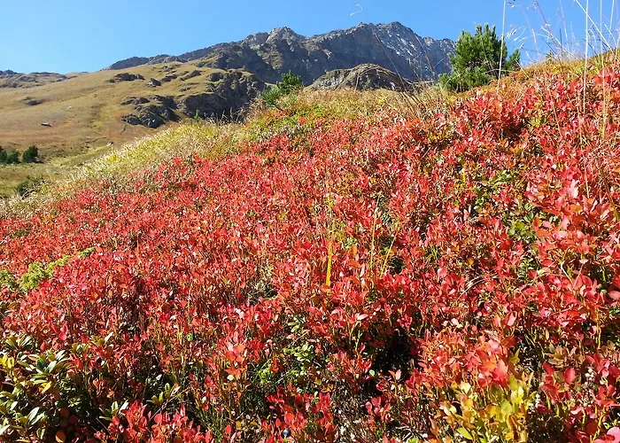 Lejlighed Haus Ursula Kals-am Großglockner