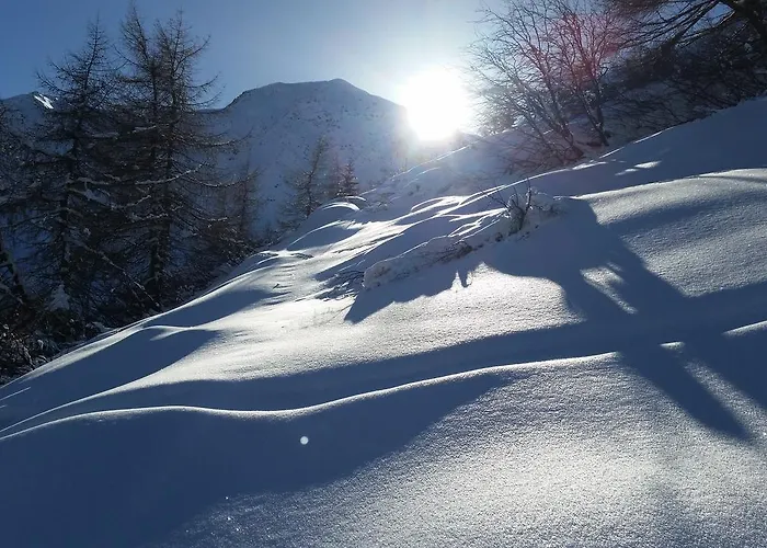 Haus Ursula 아파트 *